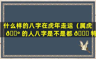 什么样的八字在虎年走运（属虎 🐺 的人八字是不是都 🐈 特别硬）